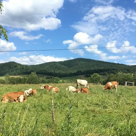 Pokoje U Bozeny I Zbyszka Lipie  Exterior foto