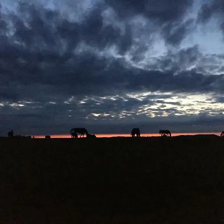 Pokoje U Bozeny I Zbyszka Lipie  Exterior foto