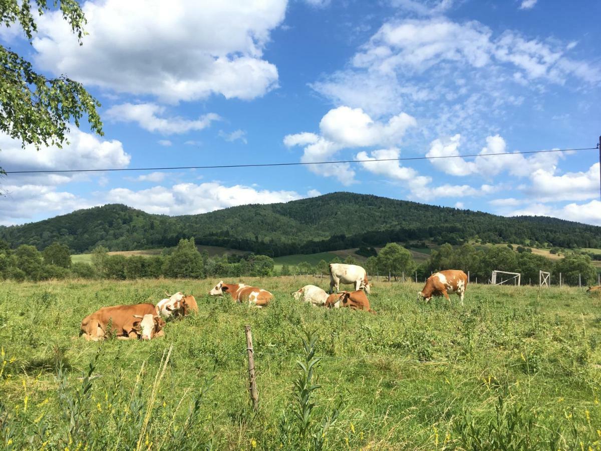 Homestay U Bozeny I Zbyszka Lipie (Bieszczady)