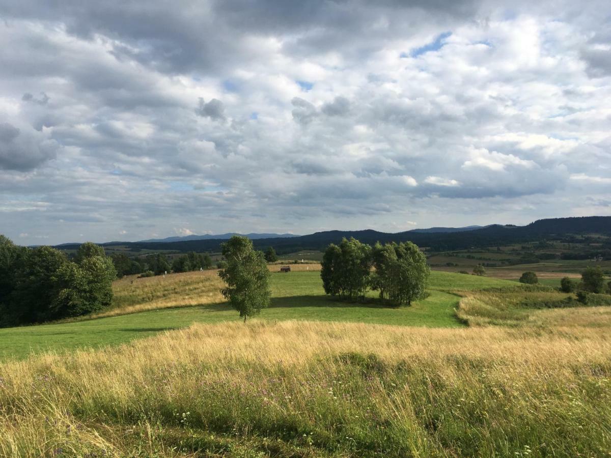 Homestay U Bozeny I Zbyszka *